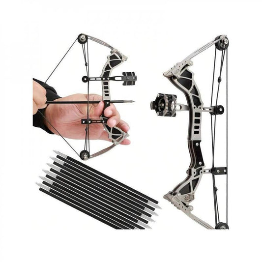 9.5" Compound Bow and Arrow Set Target Shooting Hunting Game Pocket Bow Survival Bow RH/LH Archery Gift Stainless Steel Silver Unisex